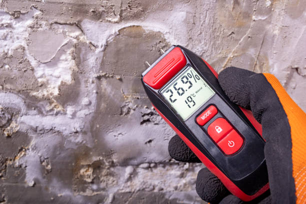 Best Home Mold Removal  in Unionville, GA